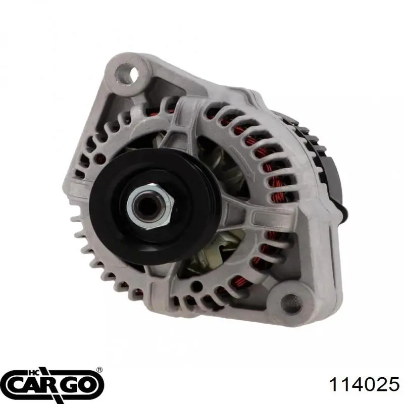 114025 Cargo alternador