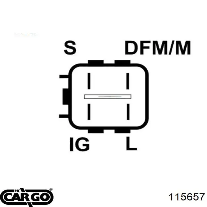 115657 Cargo alternador