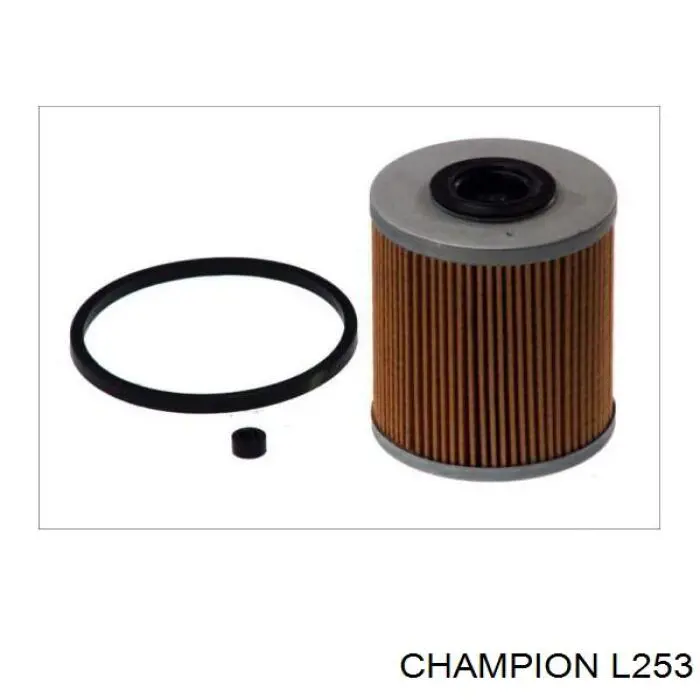 L253 Champion filtro combustible