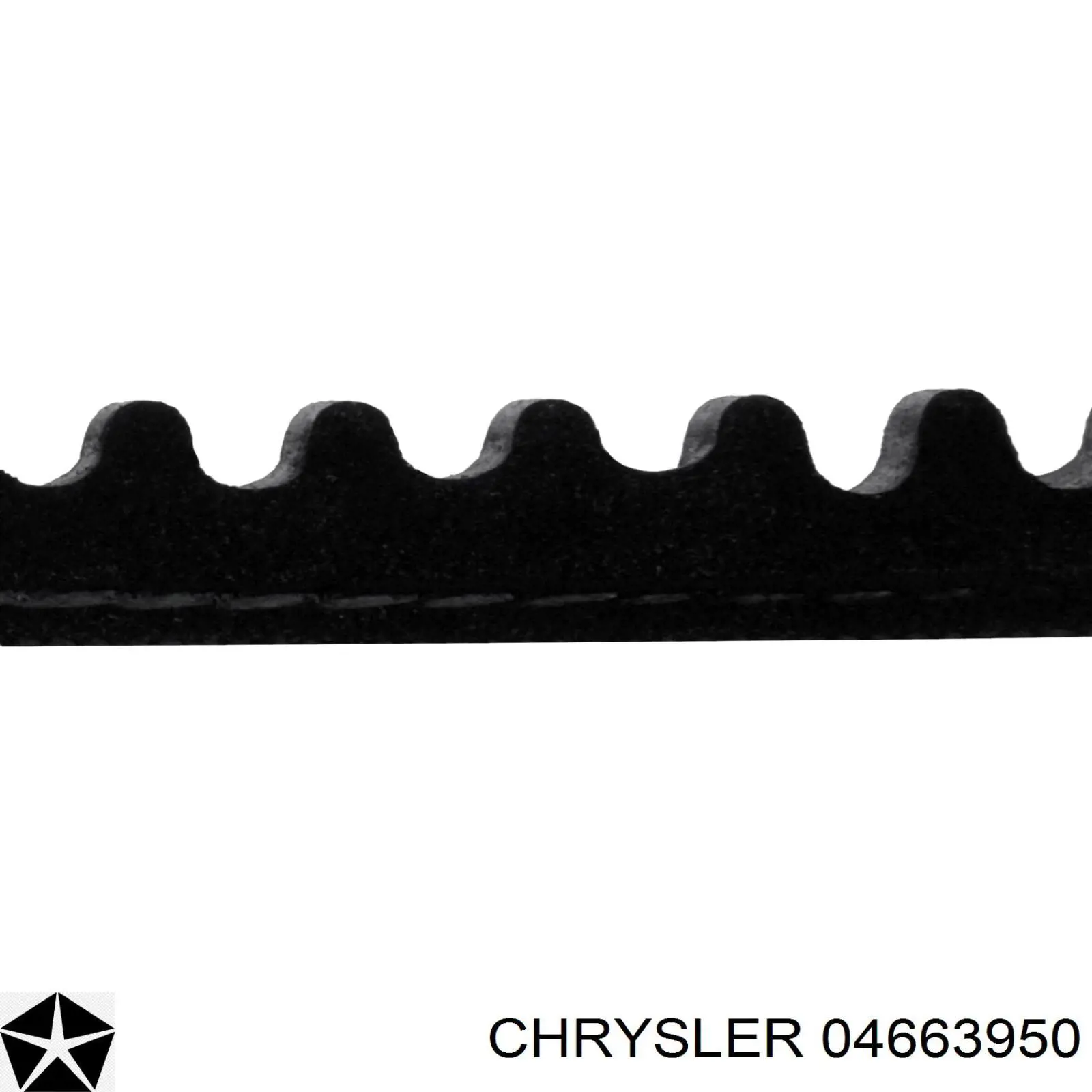 04663950 Chrysler correa trapezoidal