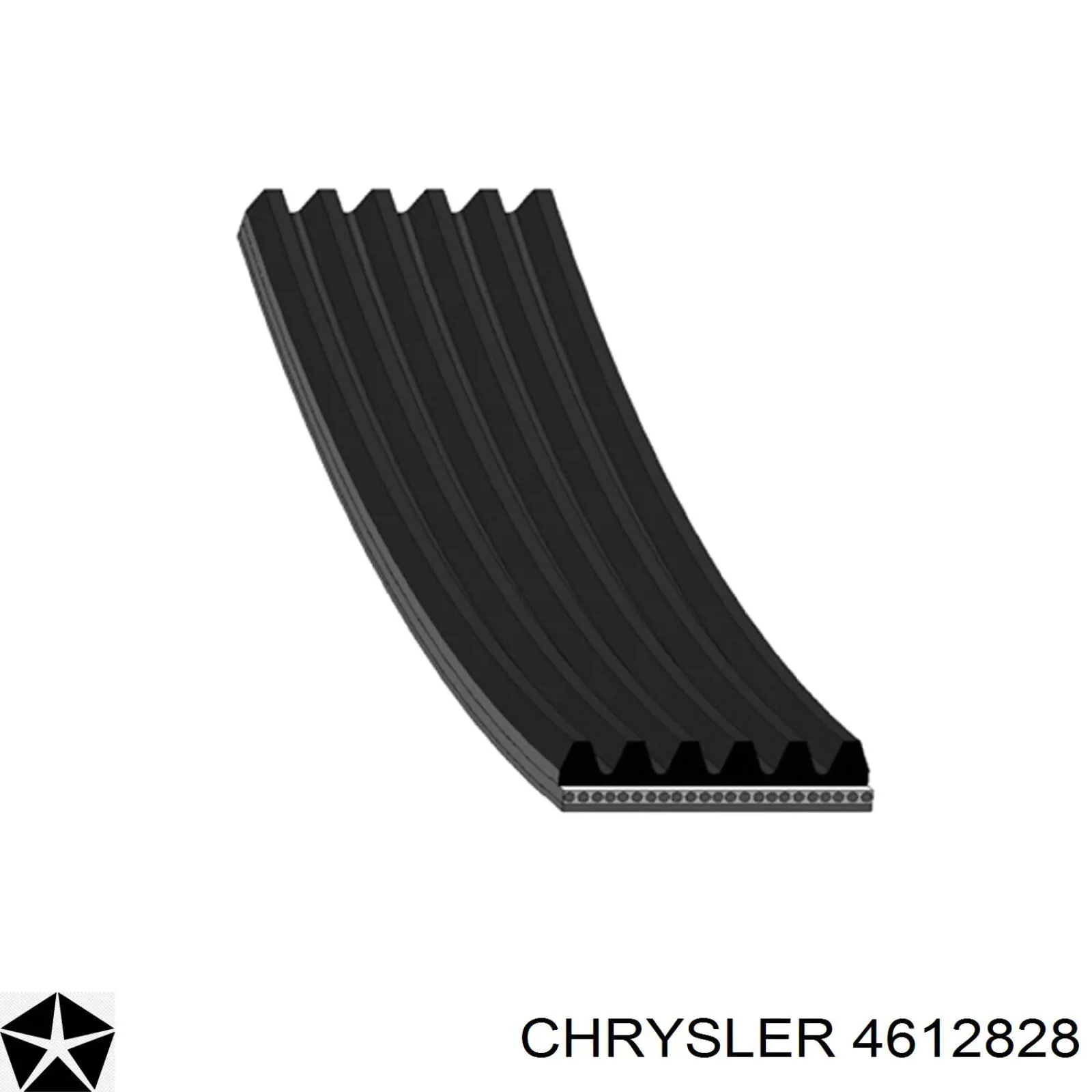 4612828 Chrysler correa trapezoidal