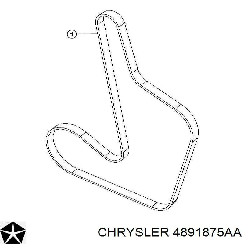 4891875AA Chrysler correa trapezoidal