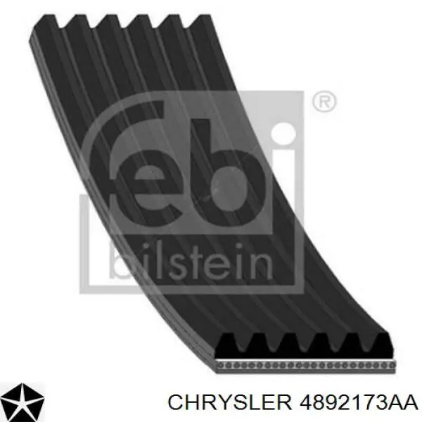 4892173AA Chrysler correa trapezoidal