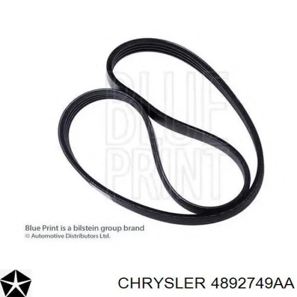 4892749AA Chrysler correa trapezoidal