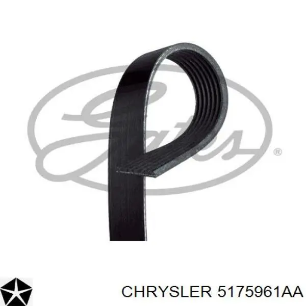 5175961AA Chrysler correa trapezoidal