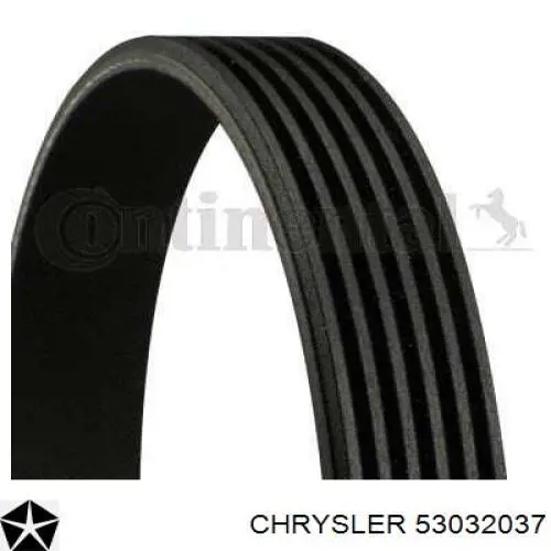 53032037 Chrysler correa trapezoidal