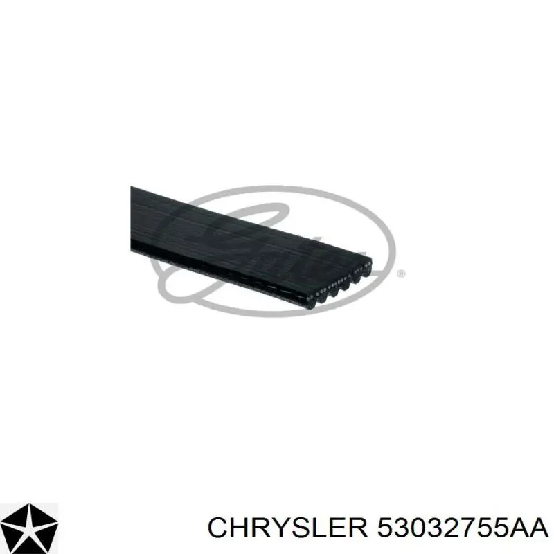 53032755AA Chrysler correa trapezoidal