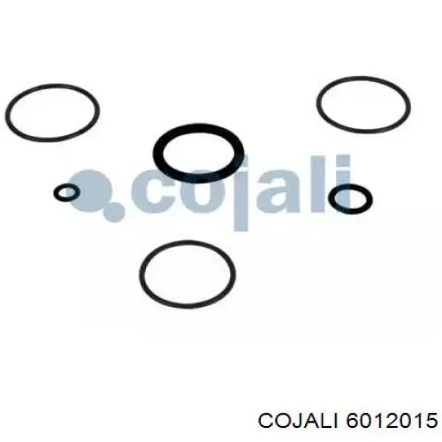 6012015 Cojali 