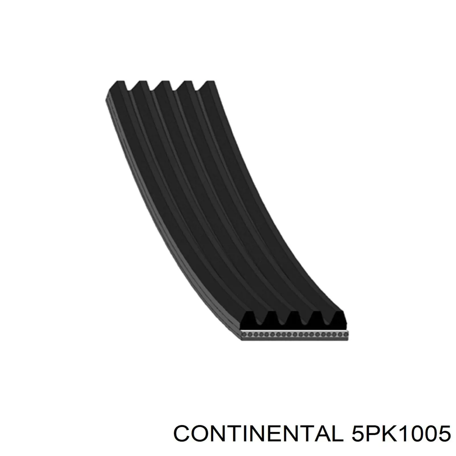 5PK1005 Continental/Siemens correa trapezoidal