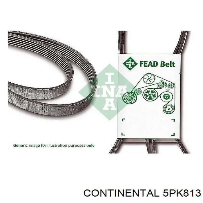 5PK813 Continental/Siemens correa trapezoidal