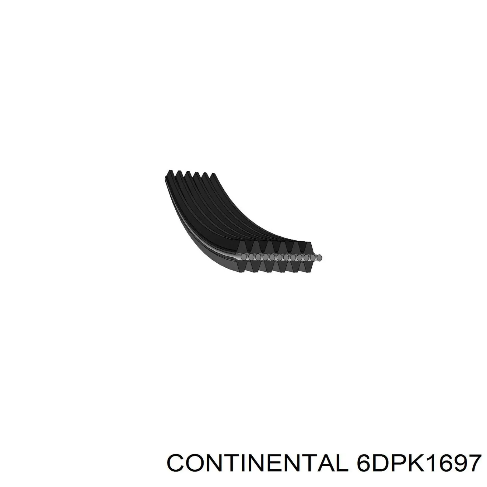 6DPK1697 Continental/Siemens correa trapezoidal