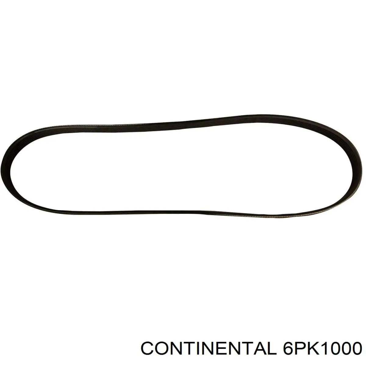 6PK1000 Continental/Siemens correa trapezoidal