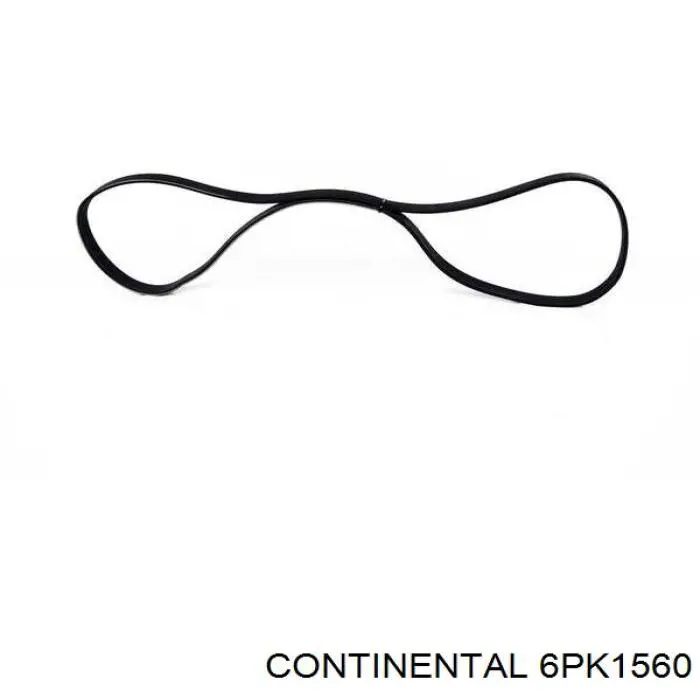 6PK1560 Continental/Siemens correa trapezoidal