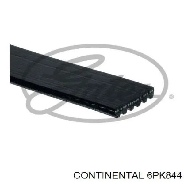 6PK844 Continental/Siemens correa trapezoidal