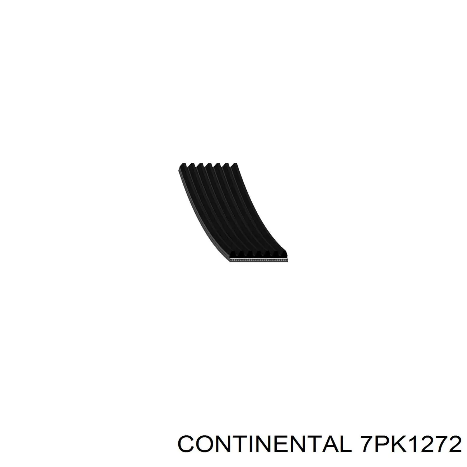 7PK1272 Continental/Siemens correa trapezoidal