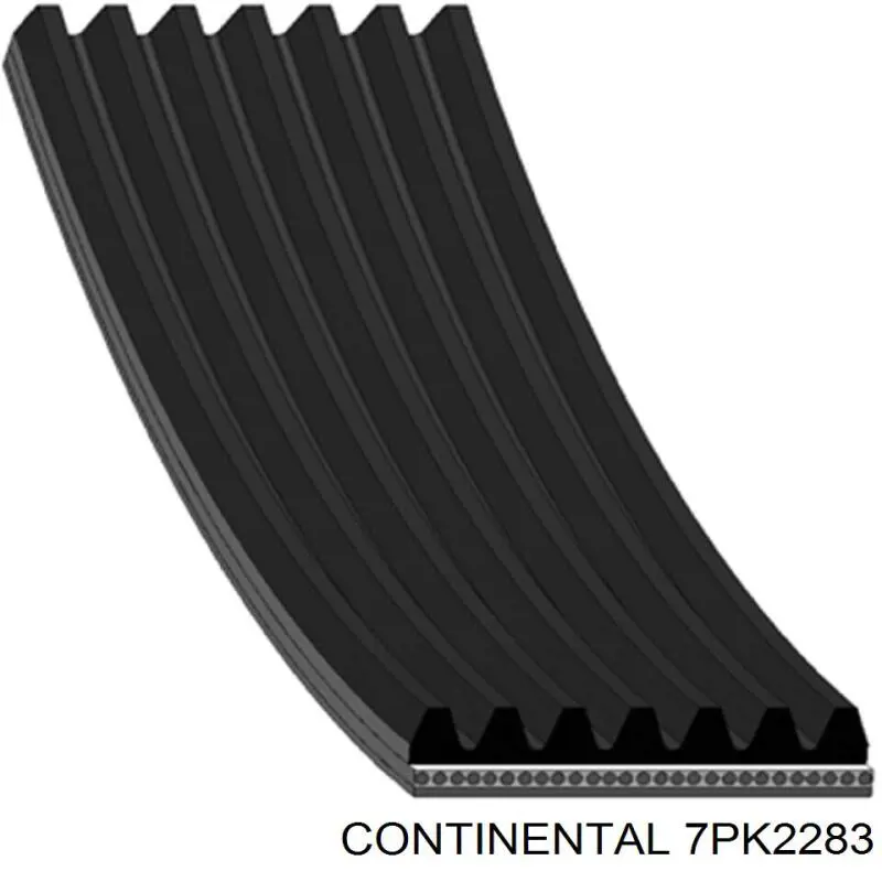 7PK2283 Continental/Siemens correa trapezoidal