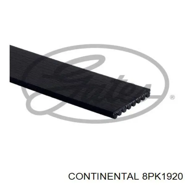 8PK1920 Continental/Siemens correa trapezoidal