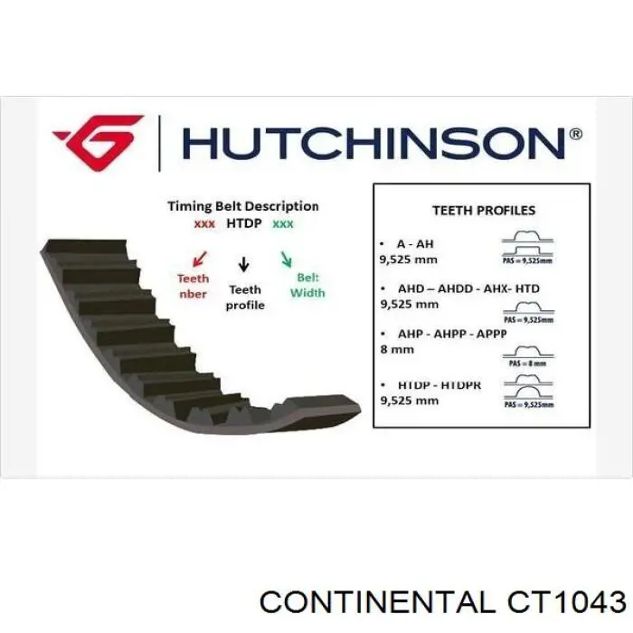 CT1043 Continental/Siemens correa distribucion