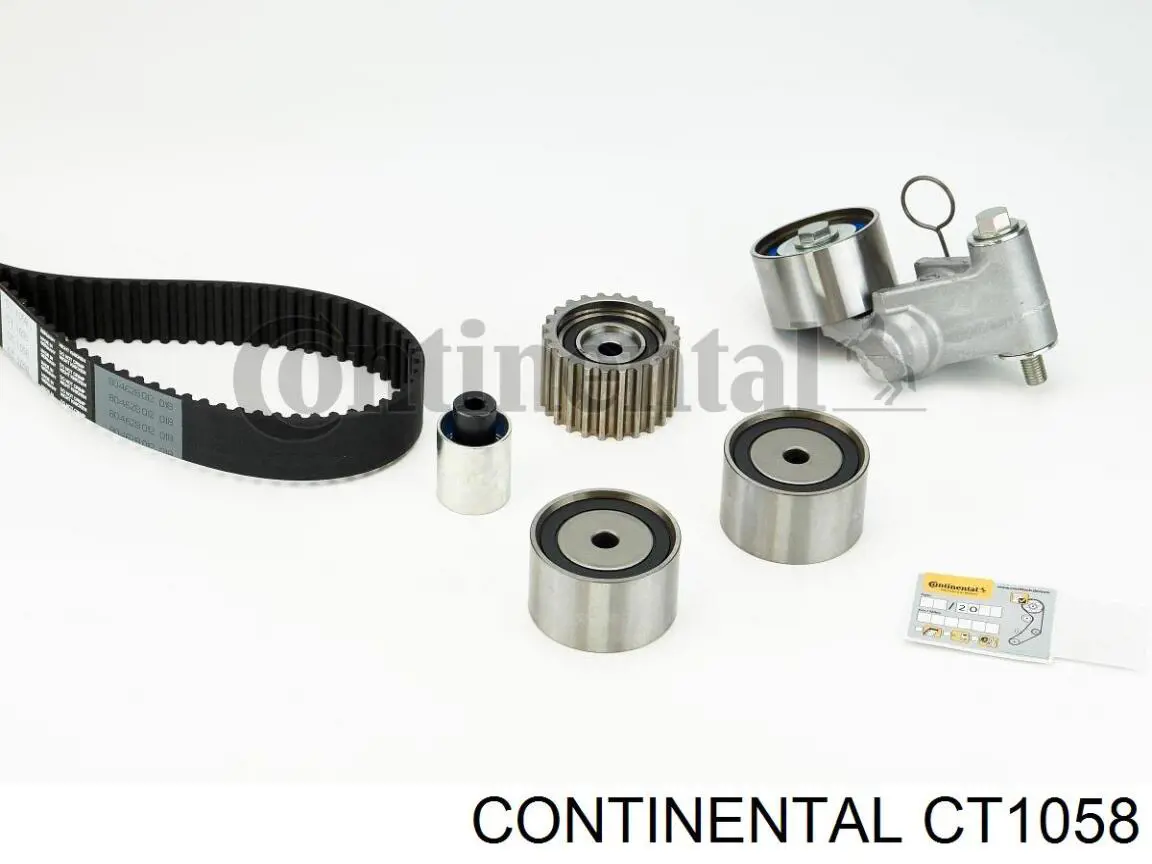 CT1058 Continental/Siemens correa distribucion