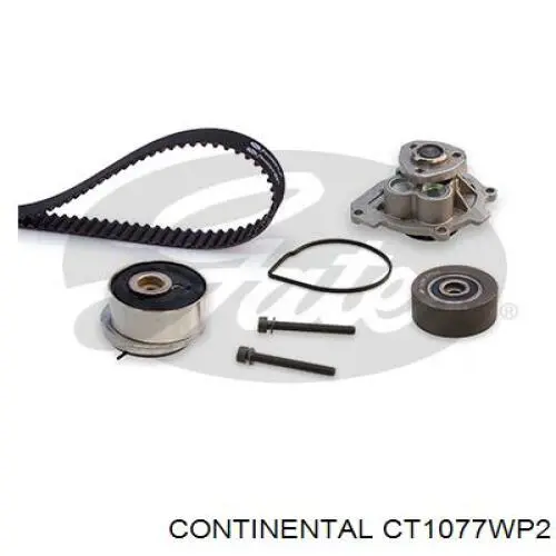 CT1077WP2 Continental/Siemens kit correa de distribución