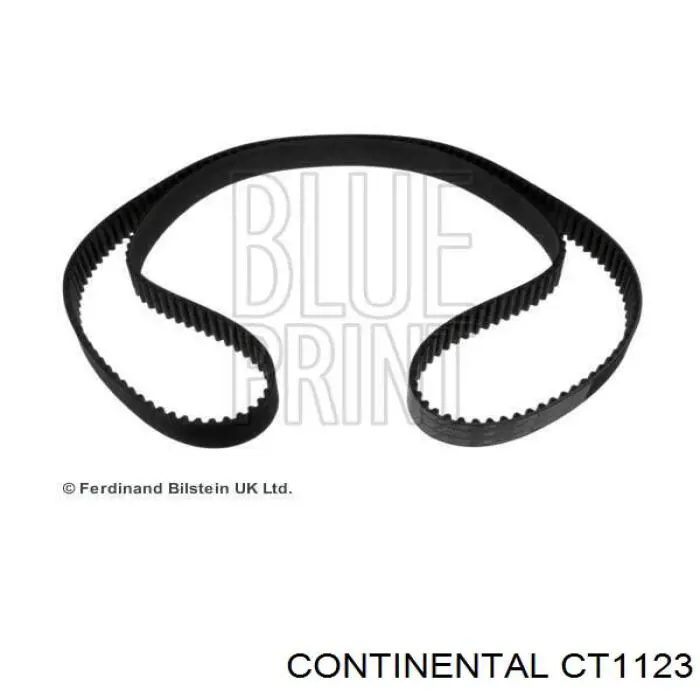 CT1123 Continental/Siemens correa distribucion