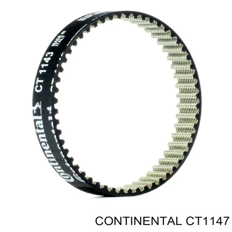 CT1147 Continental/Siemens correa distribucion