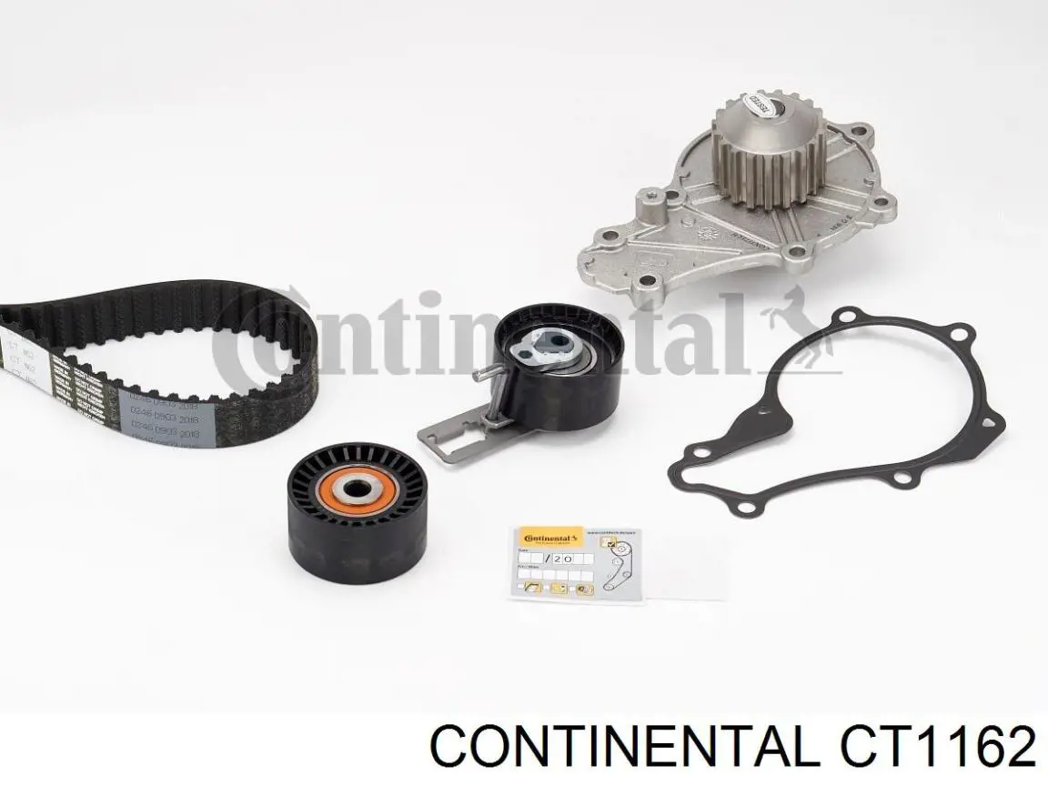 CT1162 Continental/Siemens correa distribucion