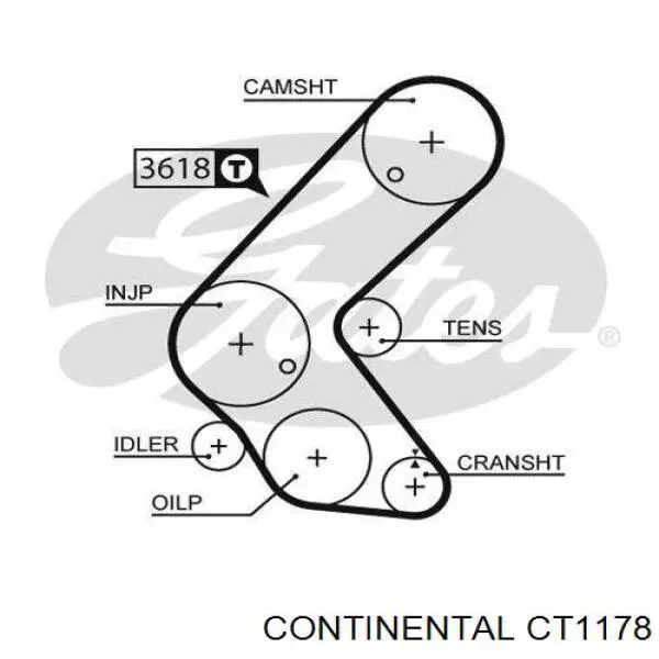 93192782 Peugeot/Citroen correa distribucion