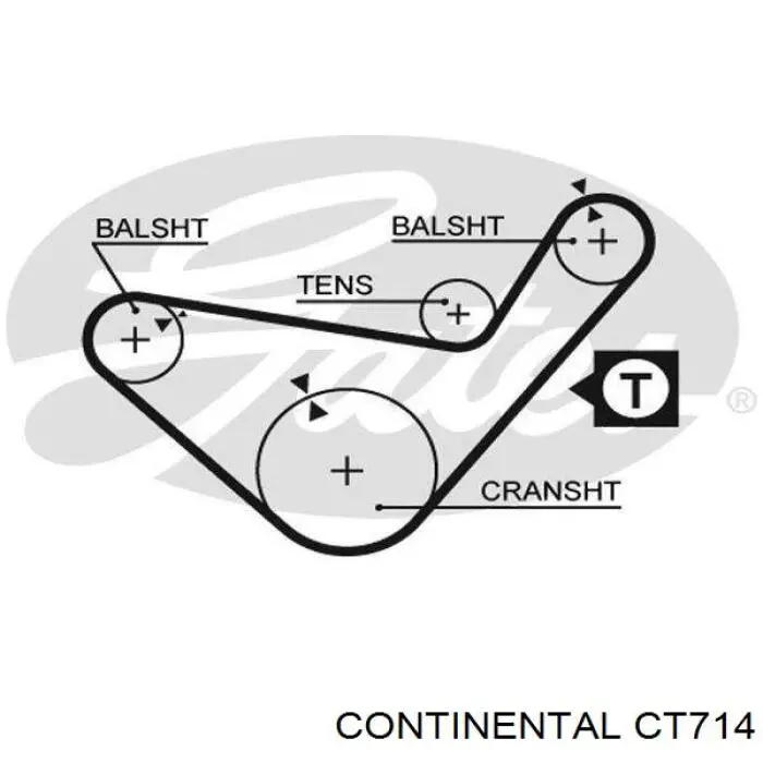 CT714 Continental/Siemens correa dentada, eje de balanceo