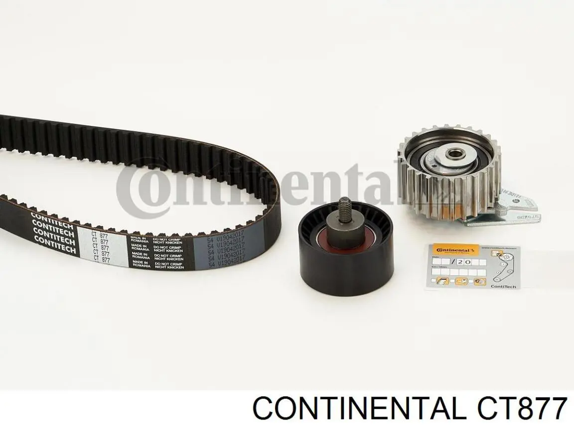 CT877 Continental/Siemens correa distribucion