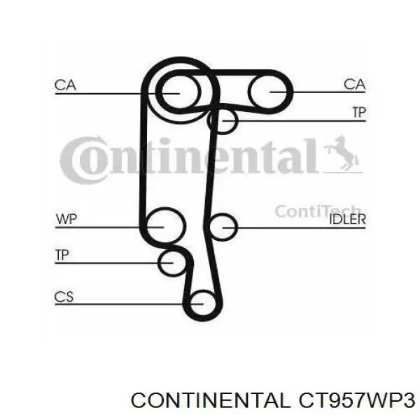 CT957WP3 Continental/Siemens kit correa de distribución