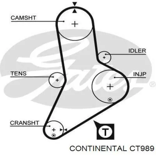 CT989 Continental/Siemens correa distribucion