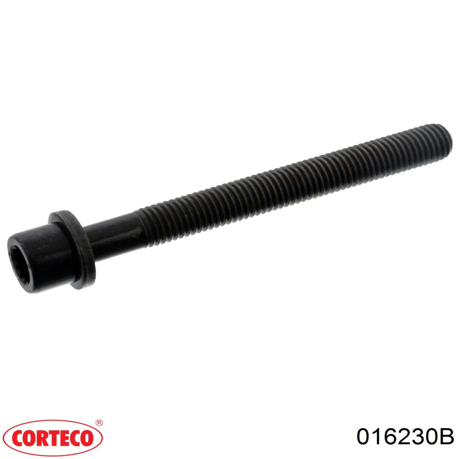 016230B Corteco tornillo de culata