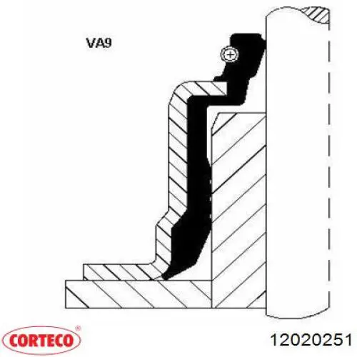 12020251 Corteco valvula de admision (rascador de aceite)