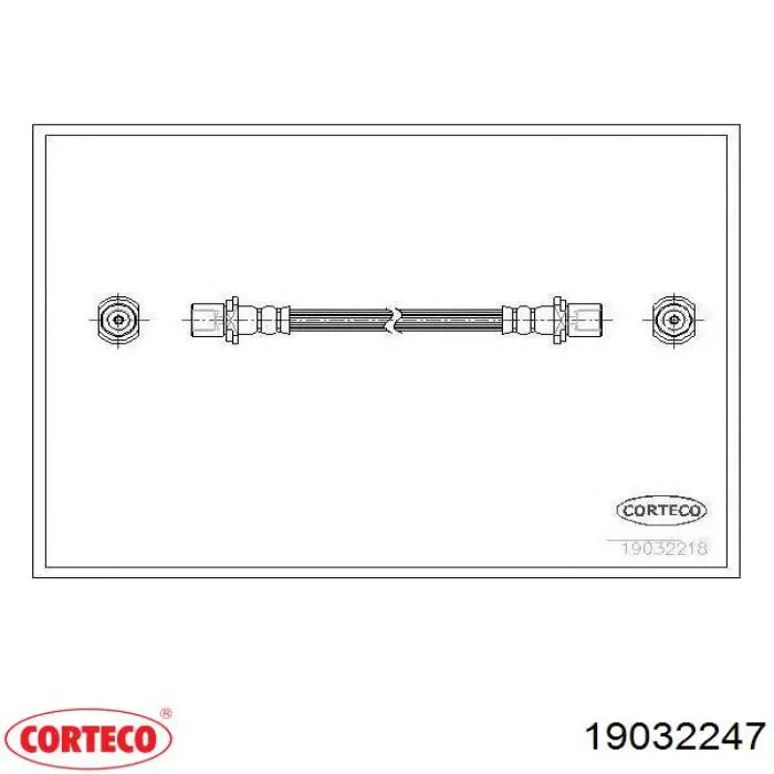 19032247 Corteco 