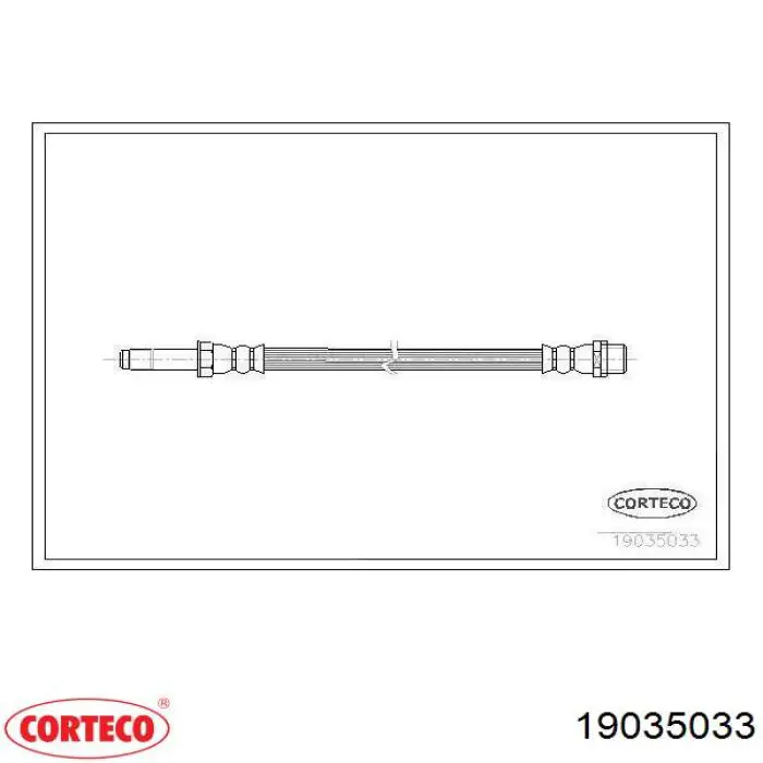 19035033 Corteco 