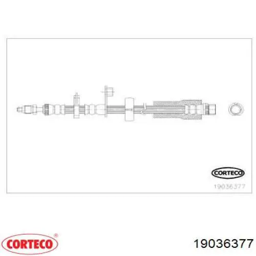 19036377 Corteco latiguillo de freno delantero