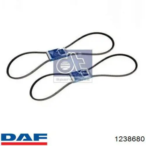 1238680 DAF correa trapezoidal