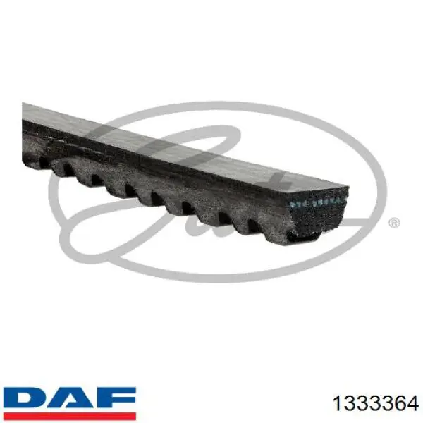 1333364 DAF correa trapezoidal