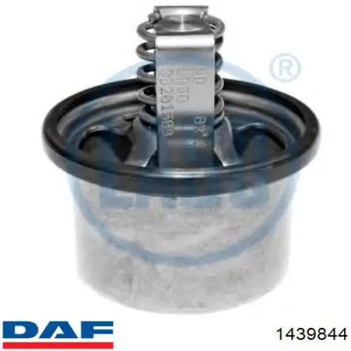 1439844 DAF termostato, refrigerante