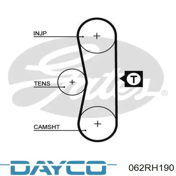 062RH190 Dayco correa, bomba de alta presión
