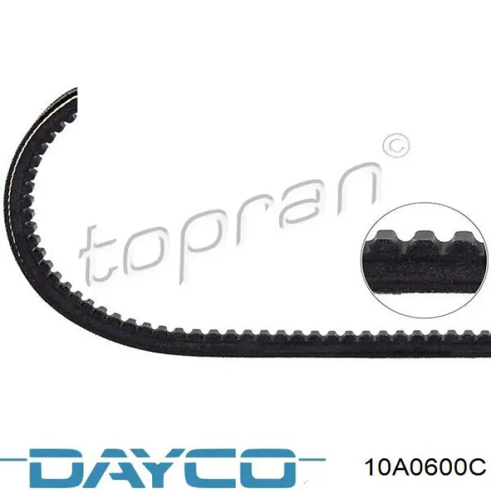 10A0600C Dayco correa trapezoidal