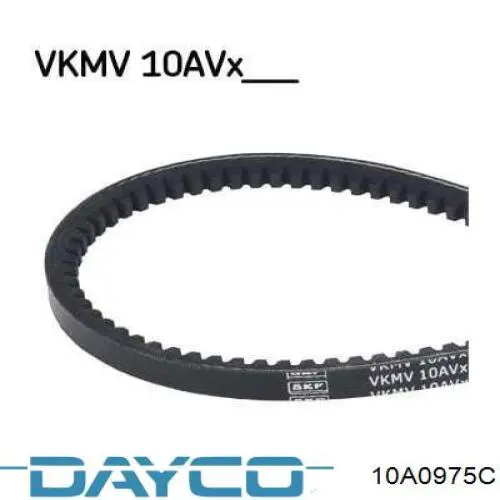 10A0975C Dayco correa trapezoidal