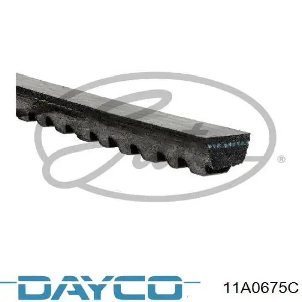 11A0675C Dayco correa trapezoidal