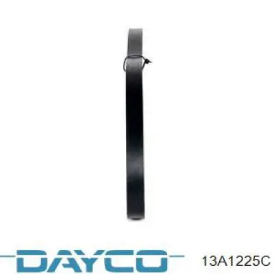 13A1225C Dayco correa trapezoidal