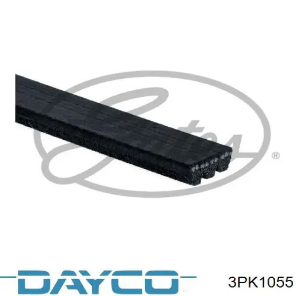 3PK1055 Dayco 