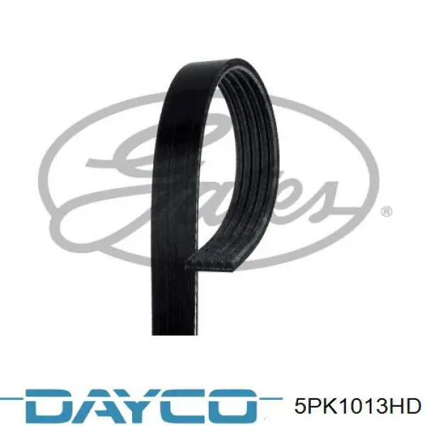 5PK1013HD Dayco correa trapezoidal