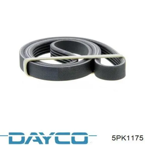 5PK1175 Dayco correa trapezoidal