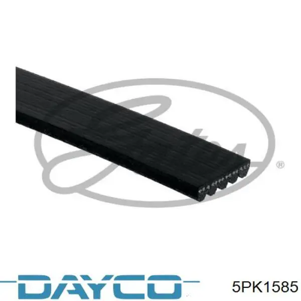 5PK1585 Dayco correa trapezoidal