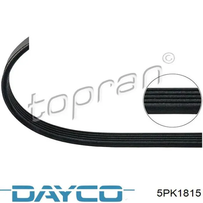 5PK1815 Dayco correa trapezoidal